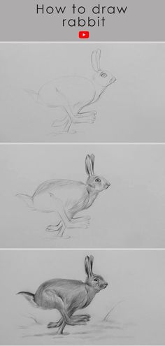 Rabbit drawing easy tutorial: rabbit sketch Rabbit Pencil Sketch, Rabbit Drawing Tutorial, Sketch Rabbit, How To Draw Rabbit, Rabbit Drawing Easy, Draw Rabbit, Draw A Rabbit, Rabbit Sketch, Rabbit Drawing