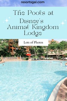 the pool at disney's animal kingdom lodge with text overlay