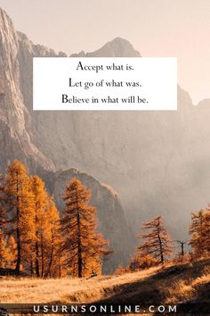 Letting Go Quote: Accept what is. Let go of what was. Believe in what will be Accepting Quotes, Let Go Quotes Relationships, Letting You Go Quotes, Quotes About Letting Go, Acceptance Quotes, Go Quotes, Art Of Letting Go, Jehovah Witness Quotes, Letting Go Quotes