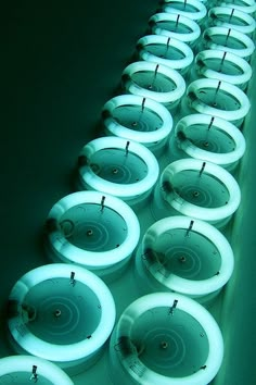 rows of illuminated toilets lined up against a wall