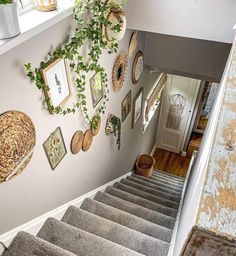 the stairs are lined with pictures and plants