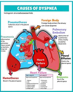 the heart and lungs are labeled in this diagram