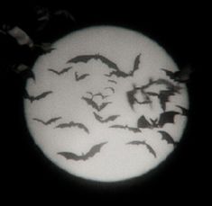 the bats are flying in front of the full moon with black and white lighting behind them