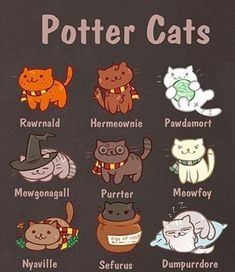 Harry Potter Cat Drawing, Harry Potter Characters As Cats, Kneazle Cat Harry Potter, Harry Potter Cat Tattoo, Harry Potter Cats, Cat Harry Potter, Harry Potter Cat, Harry Potter Cartoon, Harry Potter Background