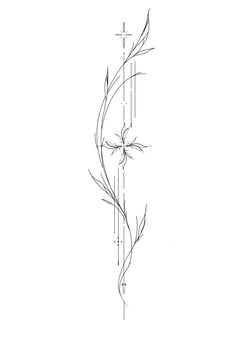 a line drawing of a flower on a white background with lines in the bottom half