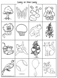 the worksheet for learning how to draw and color animals, birds, flowers