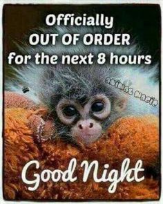 a monkey with the words good night on it's back and an image of a baby