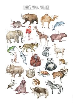 an animal alphabet is shown with different types of animals and their names in english or spanish