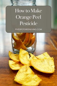 Say goodbye to harmful chemicals and hello to an all-natural solution for pest control! Learn how to make your own orange peel pesticide at home with this easy DIY recipe. Keep your home and garden free from bugs without any toxic ingredients - just the power of oranges! Boil Orange Peels, Orange Peel Vinegar, Orange Peels Uses, Homemade Bug Repellent, Pest Spray, Ant Spray, Diy Bug Spray, Bug Spray Recipe, Pest Repellent