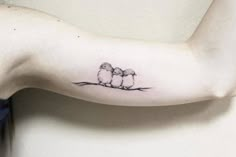 two small birds sitting on top of a tree branch with one bird perched on it's arm