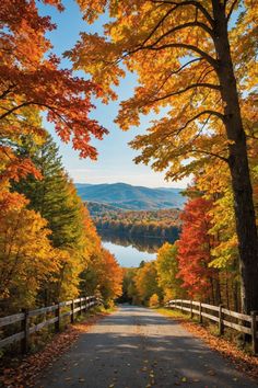 Autumn Glory: Best Spots for Fall Foliage Viewing in Virginia Autumn View Aesthetic, Painting View Nature, Shenandoah National Park Fall, Fall In Virginia, Fall Foliage Aesthetic, Autumn Aesthetic Photos, Fall Landscape Wallpaper, Autumn Landscape Wallpaper, Landscape Photos Nature