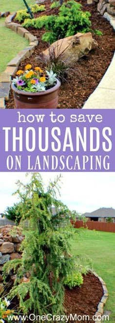 how to save thousands on landscaping in your backyard or front yard with these easy tips