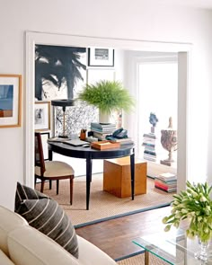 a living room filled with furniture and a potted plant on top of a table