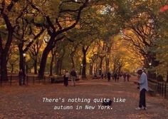 there's nothing quite like autumn in new york, and people are walking through the park