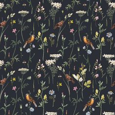 Dekornik Meadow With Birds Black Wallpaper Watercolor Floral Pattern, Stock Wallpaper, Kids Room Wallpaper, Forest Wallpaper, Wallpaper Online, Dark Background, Animal Wallpaper, Delicate Flower