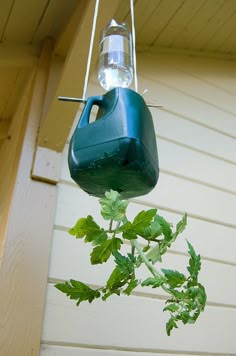 a bird feeder hanging from the side of a house with green leaves on it's branch