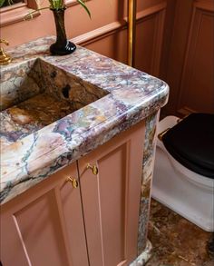 a marble sink in a bathroom next to a toilet and plant on top of the cabinet