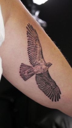 a small bird tattoo on the arm