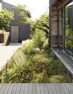 an outdoor area with wooden decking and lots of plants on the side of it