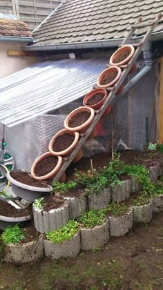 there are many potted plants growing in the garden area next to an outdoor structure