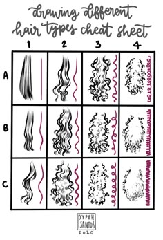 how to draw different hair types and shapes for each type of hair color chart, with the