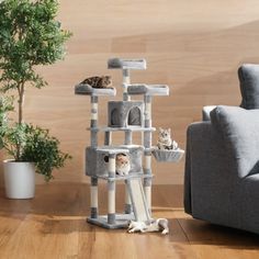 a cat sitting on top of a scratching tower next to a couch and potted plant