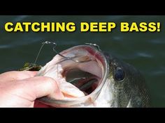 a person holding a fish with their mouth open and the caption catching deep bass