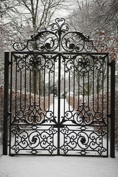 an iron gate with snow on the ground and trees in the backgrounge