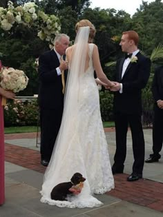 a bride and groom standing next to a dog on the ground at their wedding ceremony