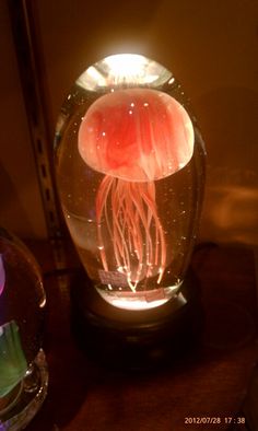 a jellyfish in a glass bowl on top of a table next to a speaker