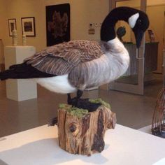 a bird that is sitting on top of a piece of wood in a museum exhibit