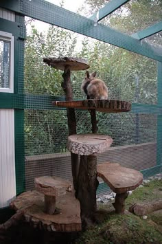 a cat sitting on top of a tree stump in a caged area with benches