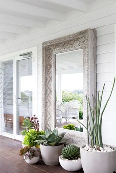 some plants are sitting on a table in front of a mirror