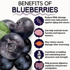 Blueberry Benefits, Healthier Treats, Outdoors Ideas, Fruit Health, Frozen Berries, Blueberry Jam, Mid Summer