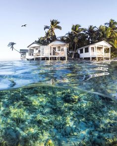 an underwater view of some houses in the water