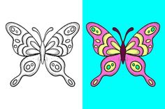 a drawing of a butterfly with different colors