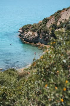 people are swimming in the blue water near an island with trees and bushes on it