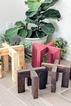 several wooden blocks sitting on the floor next to a potted plant and some plants