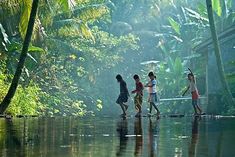 four children crossing a river in the jungle