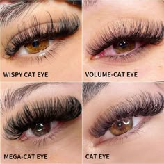 Cat Eyelash Extensions, Cat Eye Lash Extensions, Eye Lash Extensions, Cat Eye Lash, Eyelash Extensions Styles, Lash Extensions Styles, Volume Lash Extensions