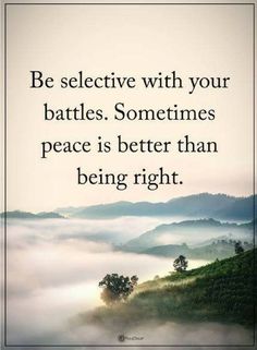 a quote on the topic of be selective with your battles sometimes peace is better than being right