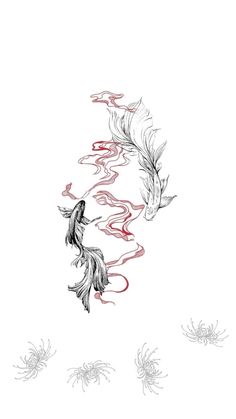 two birds flying through the air with red and white feathers on it's back