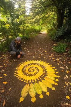 a man kneeling down next to a yellow sunflower on a dirt path in the woods