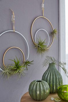 three air plants are hanging on the wall next to two vases and a bowl