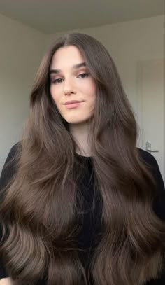 Golden Brown Hair Color, Warm Brown Hair, Coffee Hair, Golden Brown Hair, Fresh Hair, Haircuts Straight Hair, Beautiful Long Hair