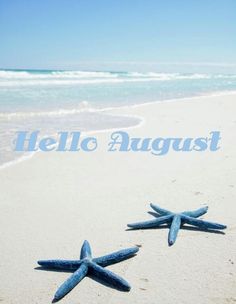 two blue starfishs on the beach with words hello august in front of them