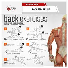 the back exercises poster shows how to do it