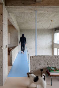 a man walking his dog on a blue carpeted walkway between two concrete walls with windows in the background