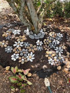 a tree with rocks arranged in the shape of a heart on top of dirt and leaves