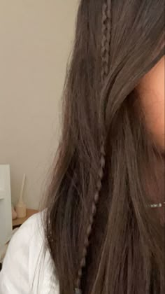 Small Plaits Hairstyles, Braid Straight Hair, Hair Tutorial Braid, Plats Hairstyles, Hair Down With Braid, Straight Hair With Braid, Hairstyle Braids, Hairstyle Examples, Photo Hair